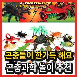정글 곤충 과학 미니 피규어 모형 인형 장난감 완구 놀이 사파리 세계 파이터 사슴벌레 나비