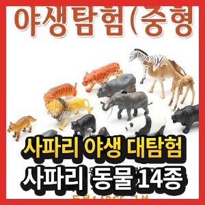 야생 동물 과학 미니 피규어 모형 인형 장난감 완구 놀이 자연 사파리 세계 탐험  이종욱 중형 14PCS 교육용
