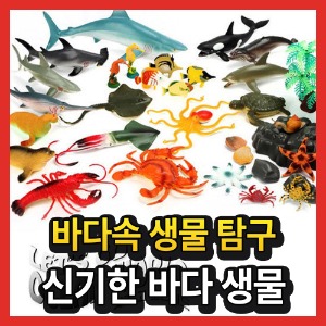 해양 오션 월드 동물 미니 피규어 모형 인형 장난감 완구 놀이 세계 물고기 고래 상어